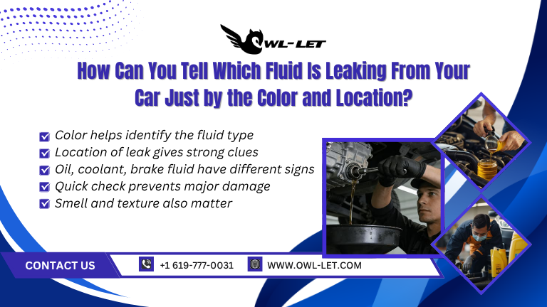 How Can You Tell Which Fluid Is Leaking From Your Car Just by the Color and Location?