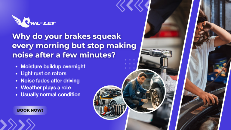 Why do your brakes squeak every morning but stop making noise after a few minutes?